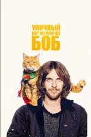 Уличный кот по кличке Боб (2016) смотреть онлайн бесплатно